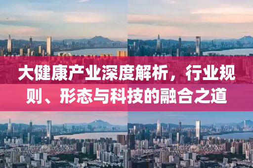 大健康產業深度解析，行業規則、形態與科技的融合之道